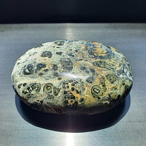 Kambaba Jasper Palmstone